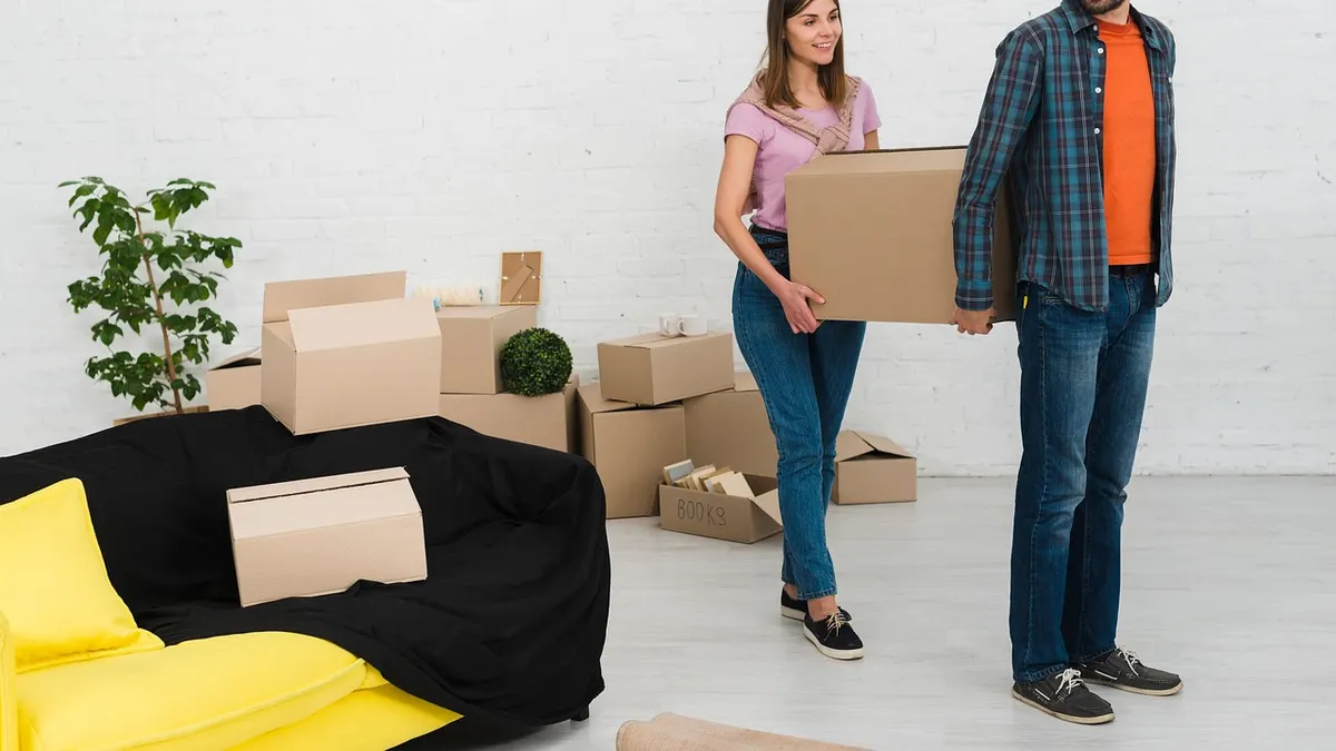 Umzugskartons und eine Zimmerpflanze in einer neuen Wohnung